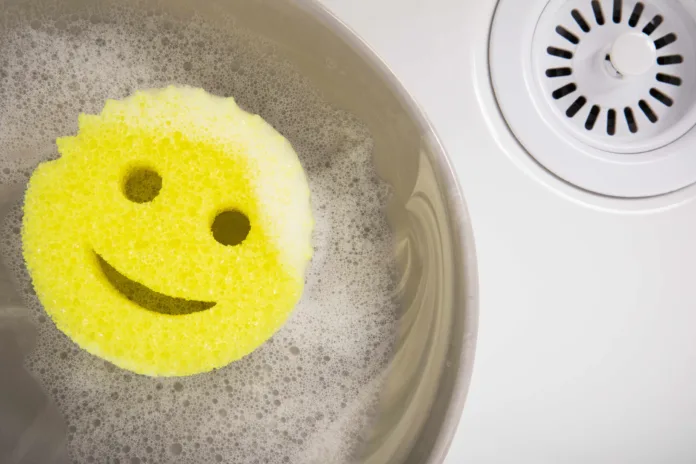 Scrub Daddy 2