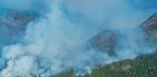 Megaincendio en Argentina avanza hacia Chile; se espera control para este miércoles.