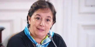 La senadora Aravena exige acción urgente ante los incendios en La Araucanía.