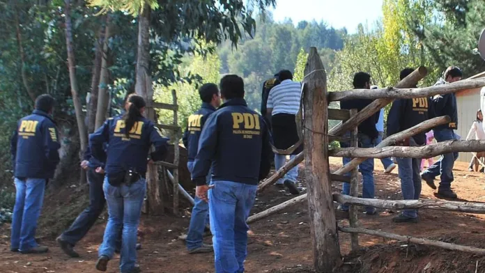 PDI allana Temucuicui: más de 300 plantas de marihuana incautadas en operativo. PDI allana Temucuicui: más de 300 plantas de marihuana incautadas en operativo.