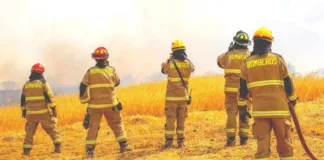 Incendios en el sur: 21 siniestros activos y más de 9 mil hectáreas devastadas.