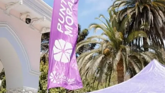 Campaña en el Festival de Viña 2025: ¡No más violencia de género! Campaña en el Festival de Viña 2025: ¡No más violencia de género!