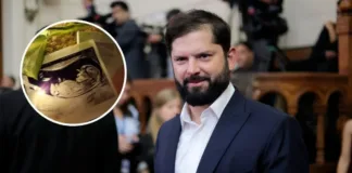 El Presidente Boric celebra la llegada de una niña en la familia de Vallejo.