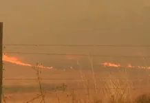 Incendios forestales: el 75% de las investigaciones judiciales no se resuelven.