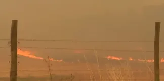 Incendios forestales: el 75% de las investigaciones judiciales no se resuelven.