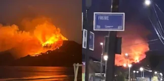 Incendio forestal en Lebu: luchan contra el fuego en Playa Millaneco.