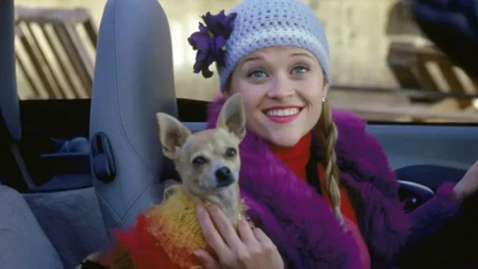 Conoce a la joven Elle Woods en la nueva precuela de 'Legalmente Rubia'. Conoce a la joven Elle Woods en la nueva precuela de 'Legalmente Rubia'.