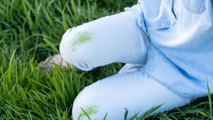 Descubre cómo eliminar manchas de pasto con solo dos ingredientes sencillos. Descubre cómo eliminar manchas de pasto con solo dos ingredientes sencillos.