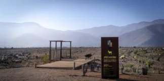 Gobierno justifica apelación sobre resolución del caso Dominga ante el Comité de Ministros.