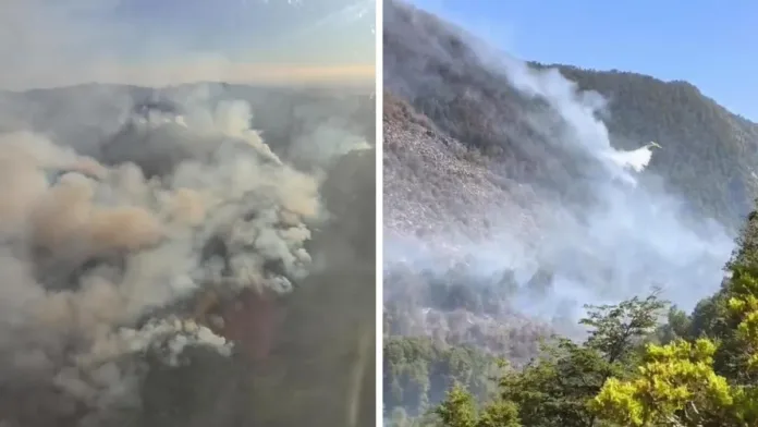 Gobernador de Ñuble solicita Alerta Roja por incendio en Reserva de la Biósfera. Gobernador de Ñuble solicita Alerta Roja por incendio en Reserva de la Biósfera.