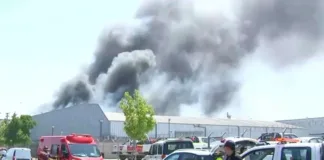 Incendio devastador consume bodegas en el Parque Enea