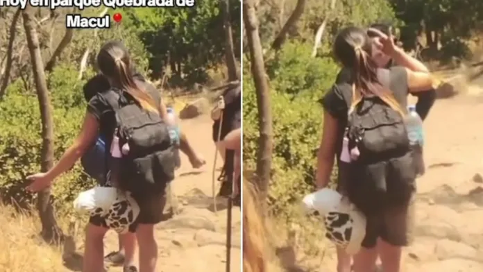 Joven enfrenta a incendiario en Quebrada de Macul: viral en redes sociales. Joven enfrenta a incendiario en Quebrada de Macul: viral en redes sociales.
