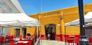 La Piojera evalúa su posible traslado a dos nuevas comunas de Santiago.