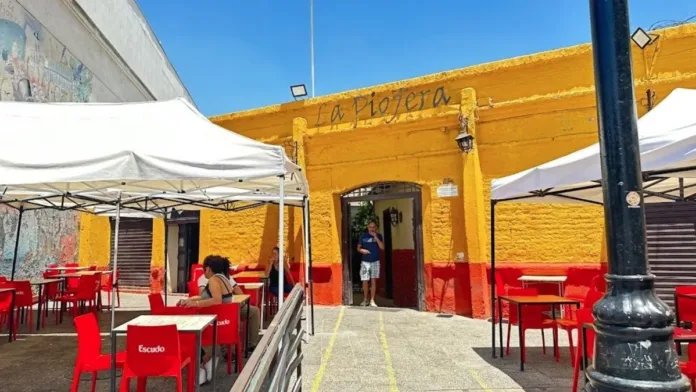 La Piojera evalúa su posible traslado a dos nuevas comunas de Santiago. La Piojera evalúa su posible traslado a dos nuevas comunas de Santiago.