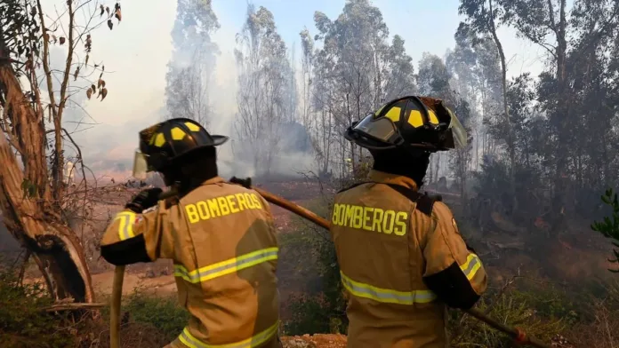 Alerta Roja en Purén por incendio forestal; evacuación urgente ante la emergencia. Alerta Roja en Purén por incendio forestal; evacuación urgente ante la emergencia.