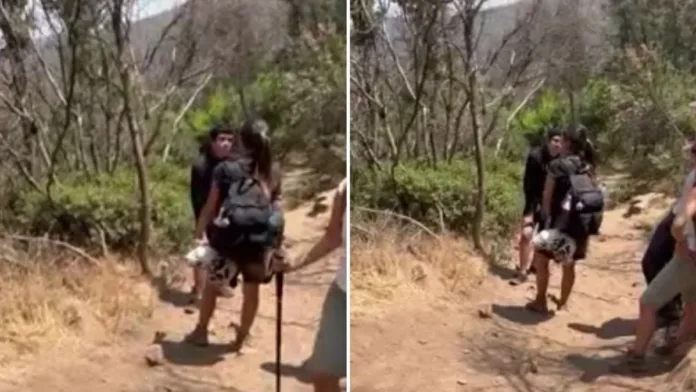 El alcalde de Peñalolén toma acciones tras intento de incendio en la Quebrada de Macul. El alcalde de Peñalolén toma acciones tras intento de incendio en la Quebrada de Macul.