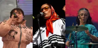 Fiesta Santiago Te Amo: artistas