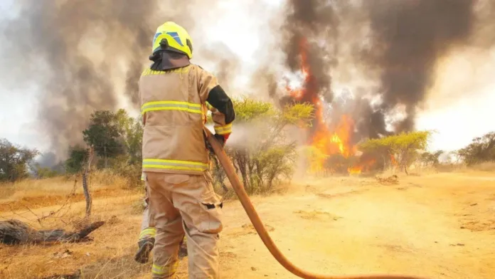 Incendios en el centro sur: Senapred declara Alerta Roja y ordena evacuaciones. Incendios en el centro sur: Senapred declara Alerta Roja y ordena evacuaciones.