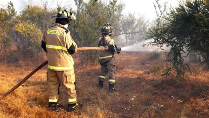 Evacuaciones en La Araucanía: 200 hectáreas arrasadas por incendio forestal. Evacuaciones en La Araucanía: 200 hectáreas arrasadas por incendio forestal.