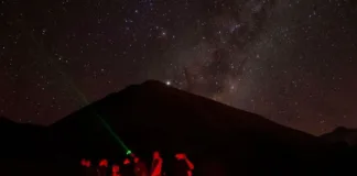Vicuña