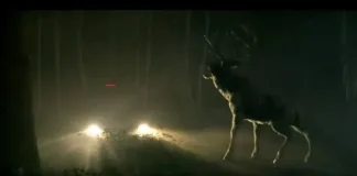 Bambi se transforma en un feroz depredador en el tráiler de "The Reckoning".