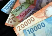 Descubre cómo acceder a ayudas económicas para desempleados en Chile.