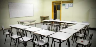 Clases suspendidas en 7 comunas de Biobío y La Araucanía por incendios forestales.