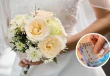 Descubre las diferencias y cómo cobrar los Bonos Bodas de Plata y Oro.
