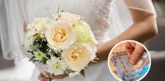 Descubre las diferencias y cómo cobrar los Bonos Bodas de Plata y Oro.