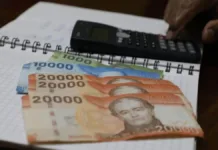 Bono Protección: $450.000 para quienes cumplan con los requisitos establecidos.