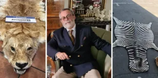 Camilo Sanhueza