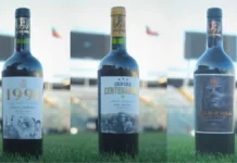 Vinos conmemorativos del centenario de Colo Colo: precios y puntos de venta.