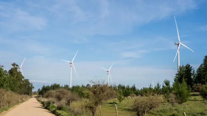 La fauna chilena enfrenta nuevos retos por la expansión de parques eólicos. La fauna chilena enfrenta nuevos retos por la expansión de parques eólicos.
