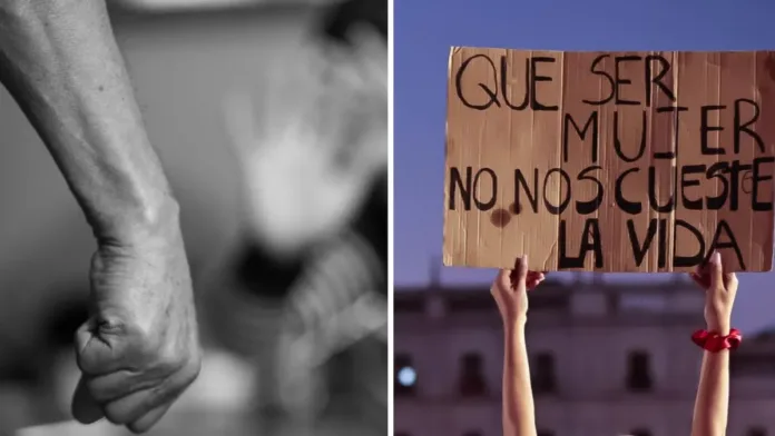 Análisis de las alarmantes cifras de femicidios en Chile: 43 consumados y 300 frustrados. Análisis de las alarmantes cifras de femicidios en Chile: 43 consumados y 300 frustrados.