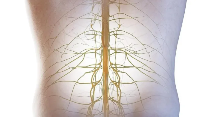 Innovaciones en implantes y robótica para tratar la parálisis por lesiones medulares. Innovaciones en implantes y robótica para tratar la parálisis por lesiones medulares.