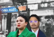 Chinamart: 22 sociedades y 100 rubros que desafían a Karol Cariola.