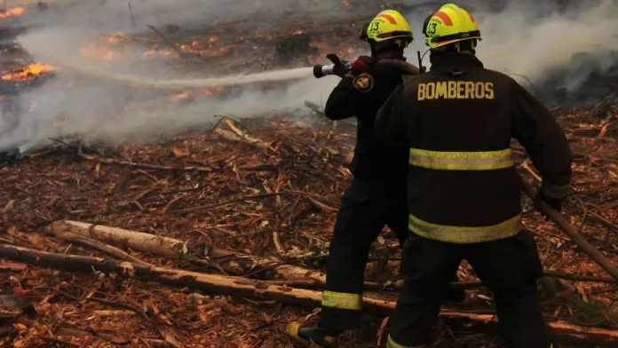 Tragedia en Coronel: dos víctimas fatales tras incendio en una vivienda. Tragedia en Coronel: dos víctimas fatales tras incendio en una vivienda.