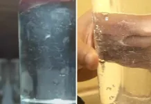 Vecinos de Mulchén alertan sobre algas en el agua potable: 'Es intomable'.