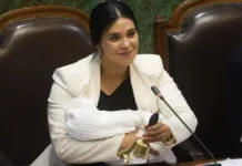 El fiscal desmiente a la pareja de la diputada sobre el allanamiento en Cariola.