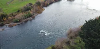 Tragedia en Osorno: niño de 6 años fallece tras caer al río Rahue.