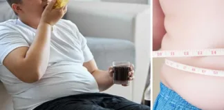 Estudio revela que adolescentes con obesidad consumen más calorías por la tarde-noche.