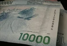 Conoce el Seguro de Cesantía en Chile: protección y requisitos para desempleados.
