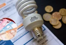 El Gobierno aplaza la postulación al Subsidio Eléctrico 2025