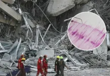SHOA asegura que no hay riesgo de tsunami en Chile tras el terremoto de 7