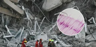 SHOA asegura que no hay riesgo de tsunami en Chile tras el terremoto de 7