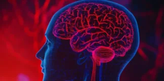 La deficiencia de vitamina D se relaciona con un mayor riesgo de Alzheimer.