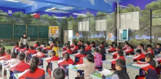 Aulas inspiradas en bosques: una solución para frenar la miopía infantil.