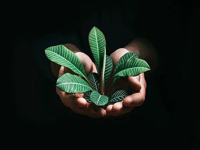 Dónde-está-el-valor-estratégico-de-contar-con-políticas-ESG-en-las-empresas_640