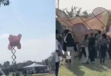 Tragedia en festival musical en México: dos muertos tras colapso de estructura.