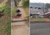 Restos de caballo en Barrio Modelo: vecinos exigen soluciones a la situación.